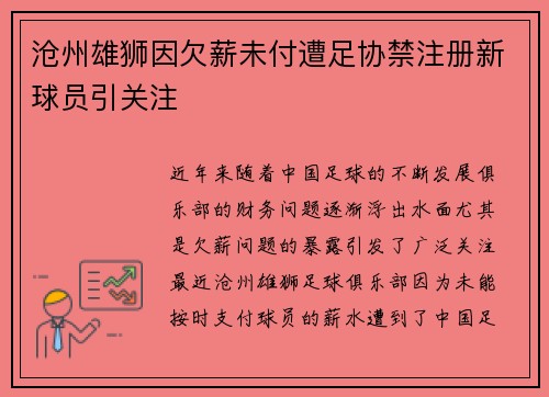 沧州雄狮因欠薪未付遭足协禁注册新球员引关注